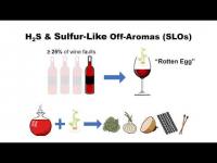 Glutathione Increases Formation of Unstable Copper-Sulfhydryl Complexes Capable of Releasing H2S During Bottle Storage
