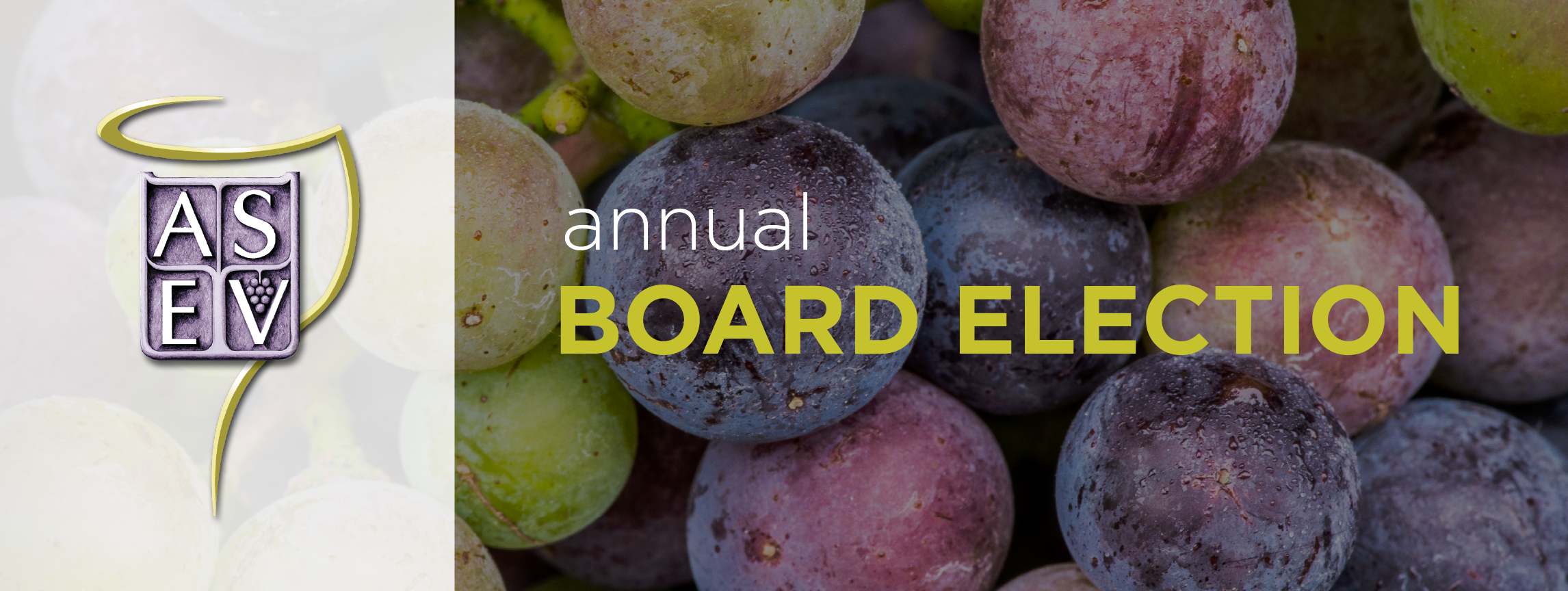 Candidates for Election to the ASEV Board of Directors for 2025–2026