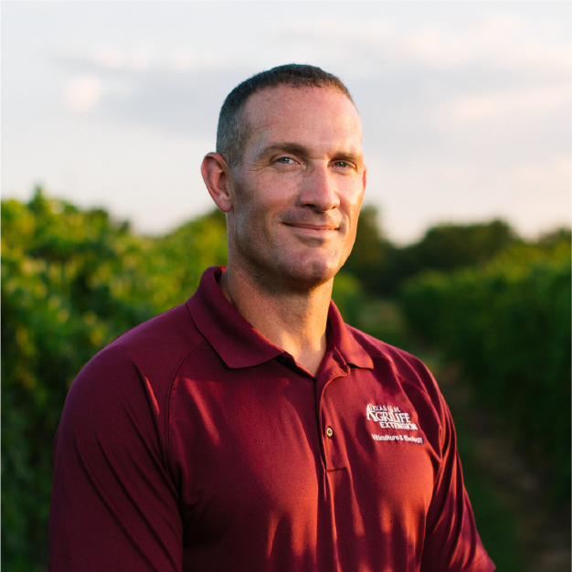 Mark Battany headshot